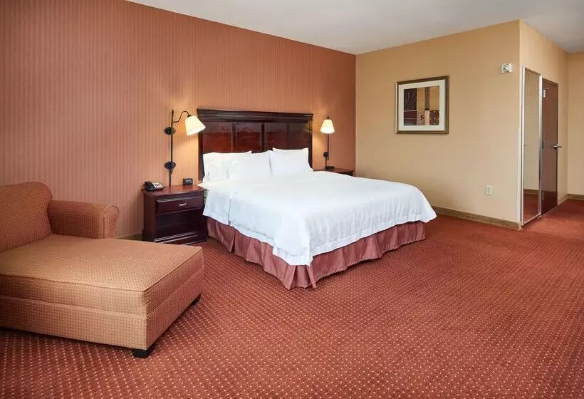 Отель Hampton Inn & Suites Austin South/buda