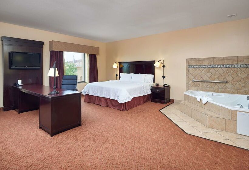 ホテル Hampton Inn & Suites Austin South/buda