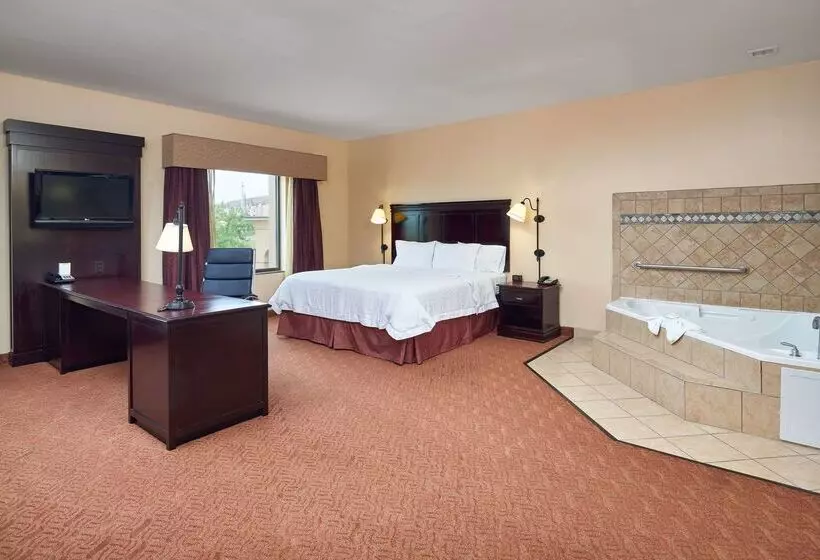 Отель Hampton Inn & Suites Austin South/buda