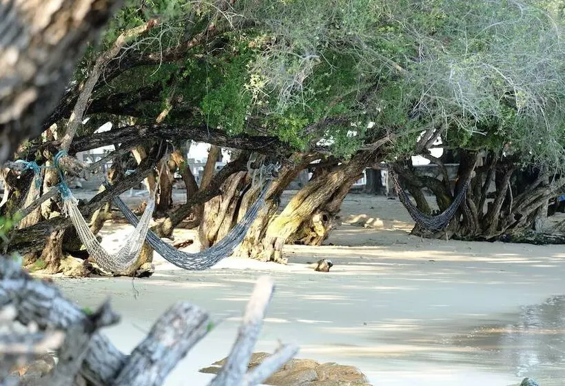 호텔 Nimmanoradee Resort