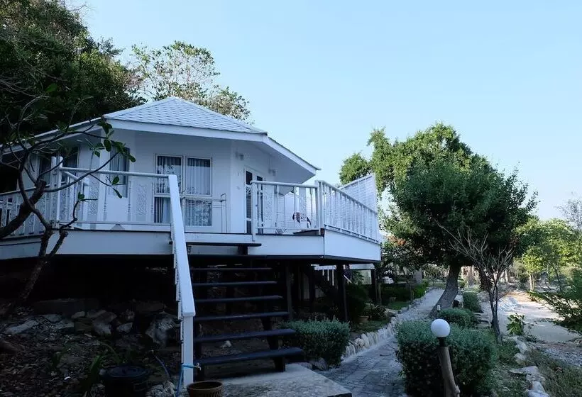 호텔 Nimmanoradee Resort