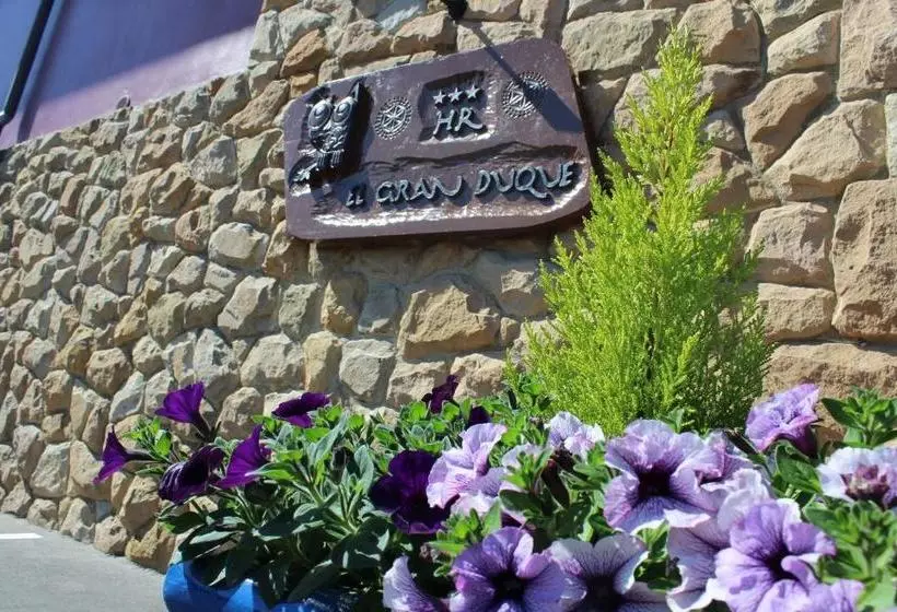 هتل روستایی Rural El Gran Duque