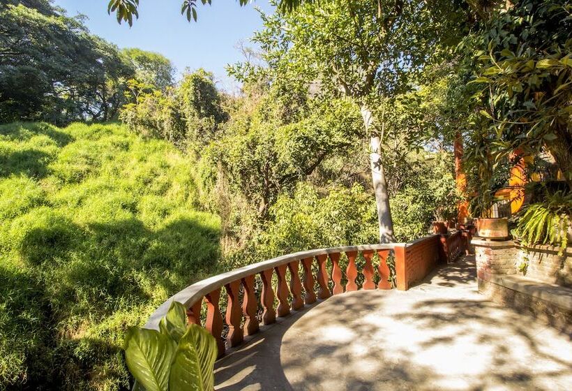 فندق Terraza Tamayo