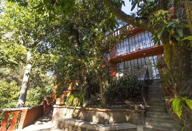 فندق Terraza Tamayo