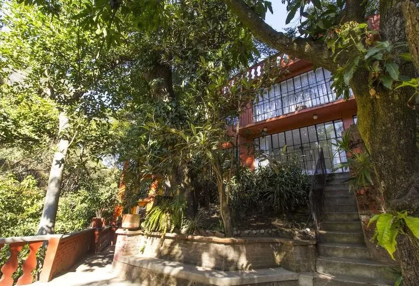 ホテル Terraza Tamayo