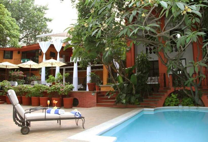 فندق Terraza Tamayo