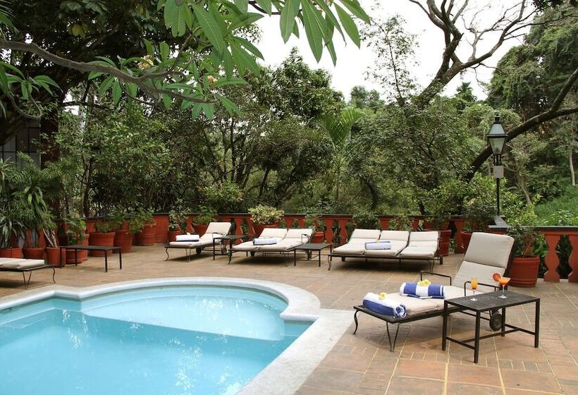 فندق Terraza Tamayo