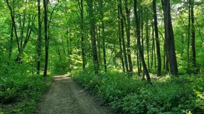 ベッドアンドブレックファースト Les Vieilles Pierres Chambres D Hôtes