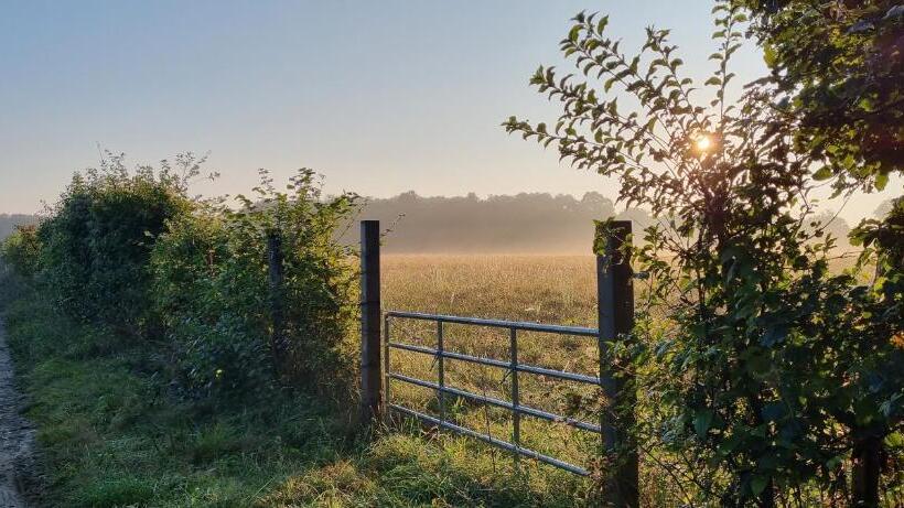 مبيت وإفطار Les Vieilles Pierres Chambres D Hôtes