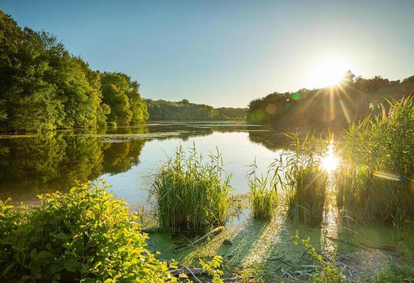 مبيت وإفطار Les Vieilles Pierres Chambres D Hôtes