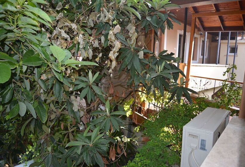 Hotel Osmanli Marco Pasha