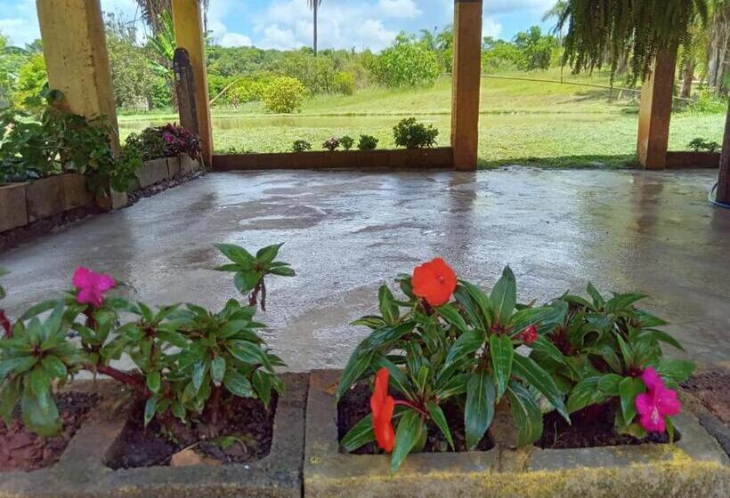 Hotel Pousada E Camping Canastra Mineira