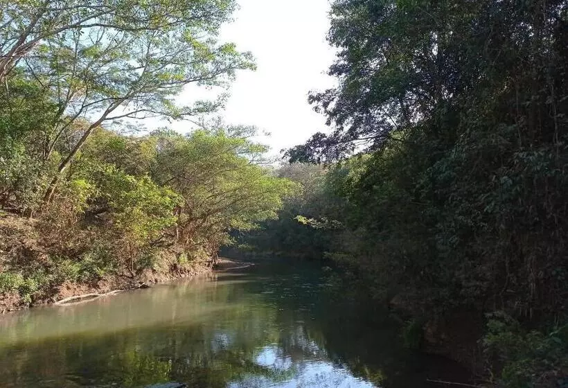 ホテル Pousada E Camping Canastra Mineira