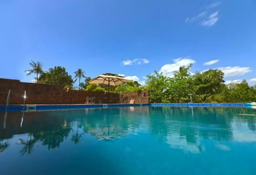 ホテル The Palmnest Resort