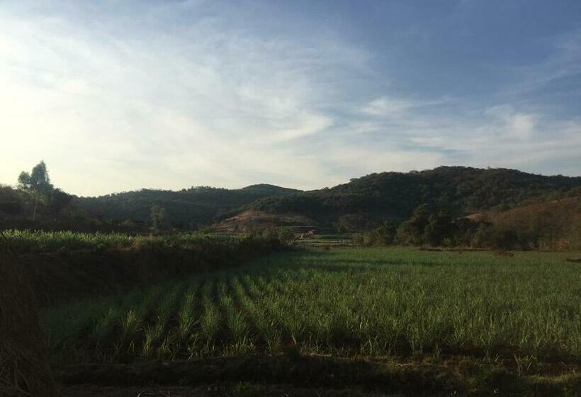 Hotel The Palmnest Resort