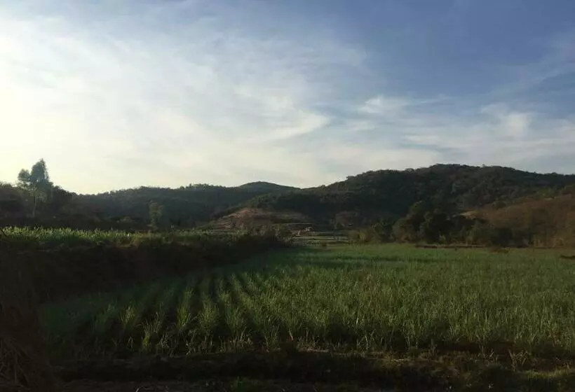 ホテル The Palmnest Resort
