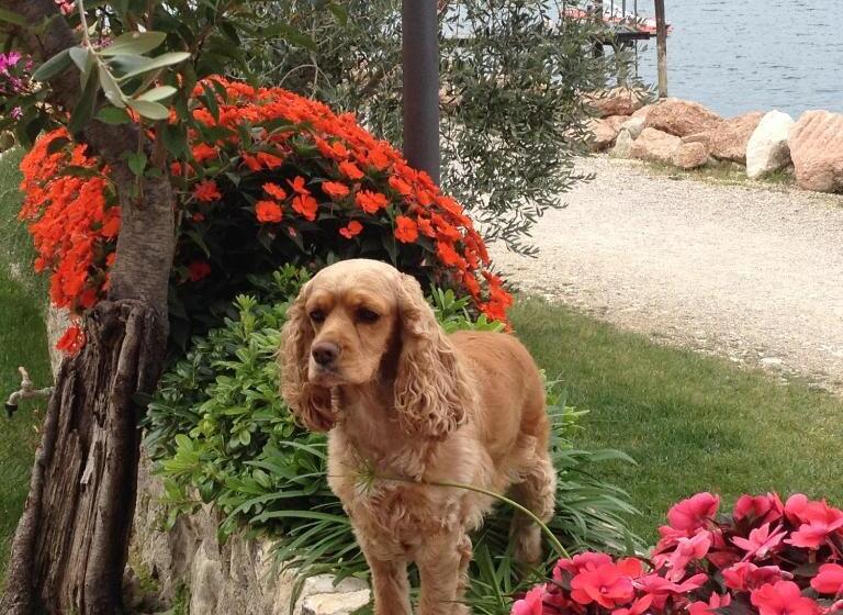 פנסיון Locanda Fassa