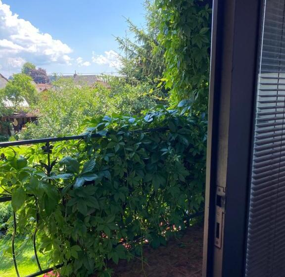 פנסיון Penzion Country Club