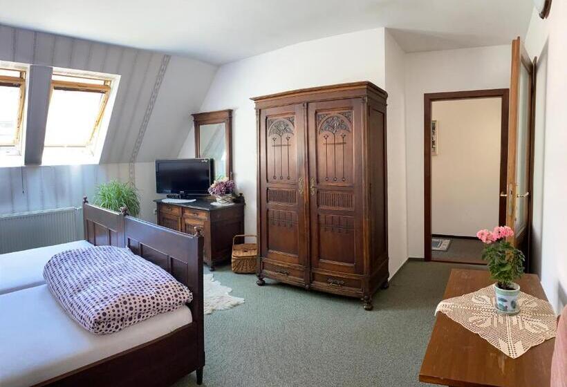 פנסיון Penzion Country Club