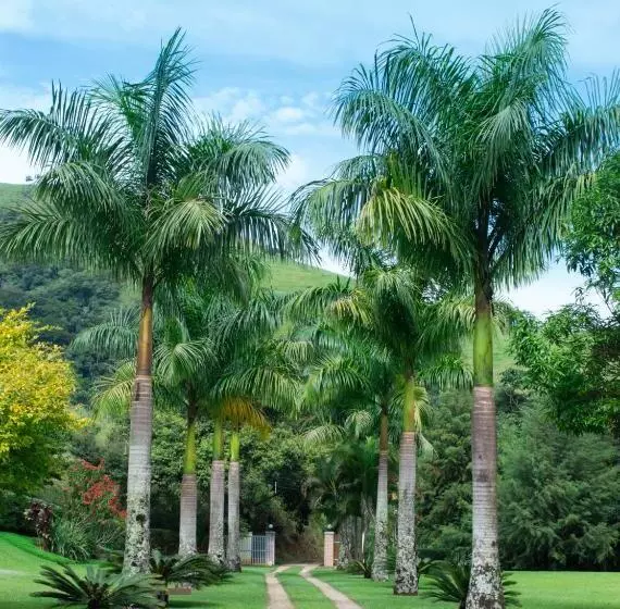 Majatalo Pousada Quintal Da Prosa