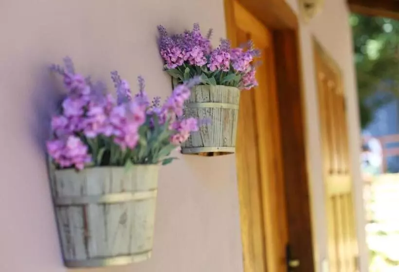 Majatalo Pousada Quintal Da Prosa