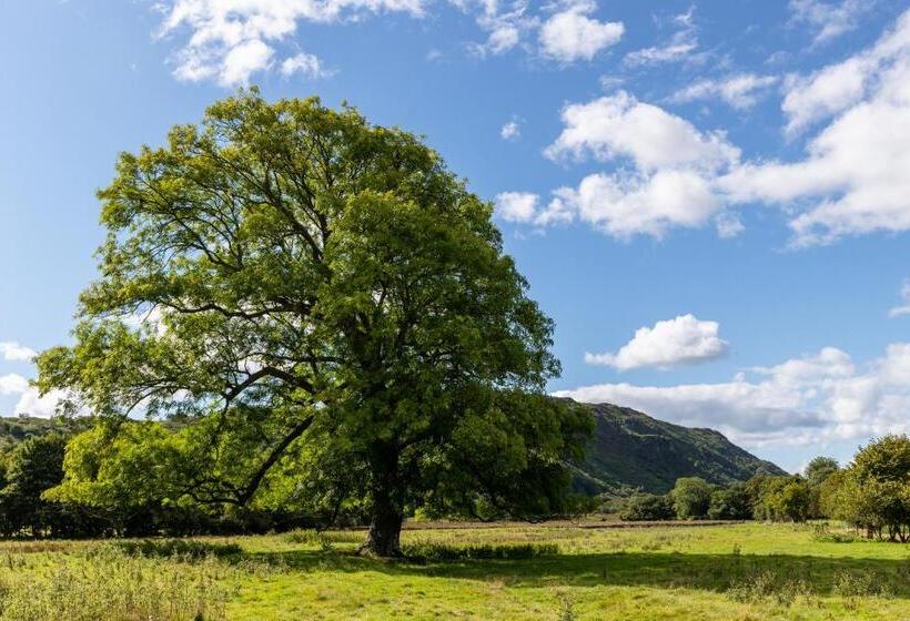 הוסטל Bower House Inn