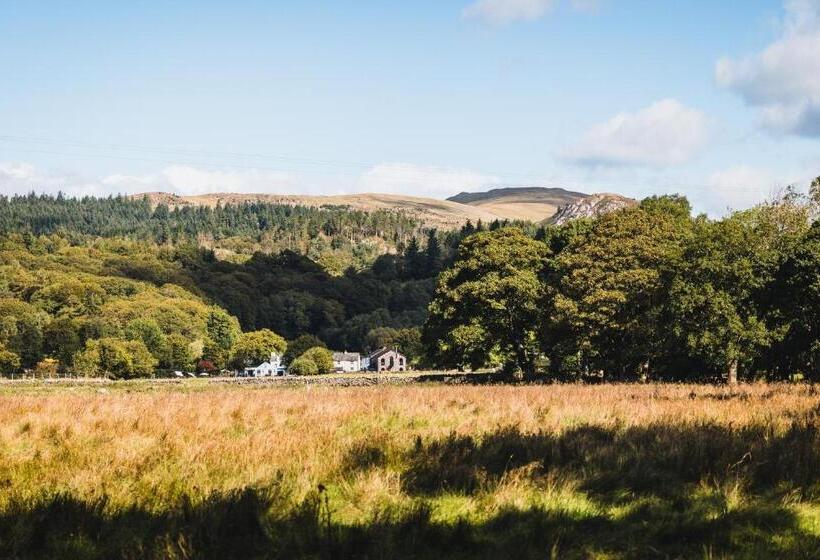 הוסטל Bower House Inn