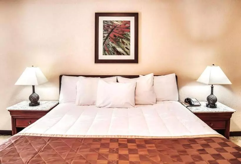 Retkeilymaja Palms Garden Inn