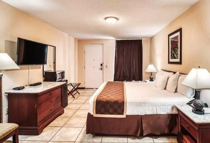 Retkeilymaja Palms Garden Inn