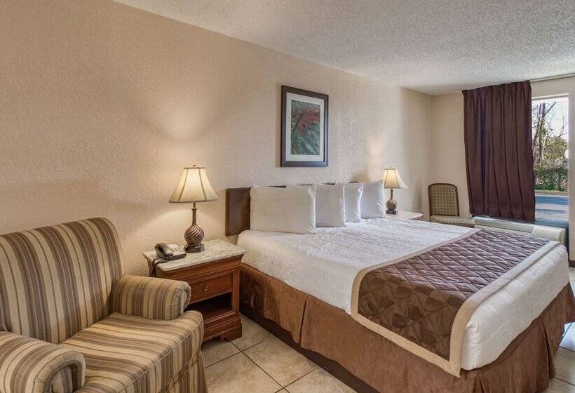 فندق صغير Palms Garden Inn