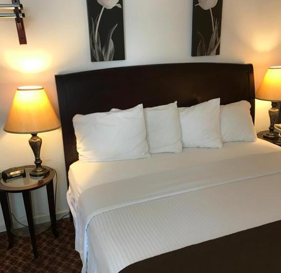 فندق على الطريق Gold Pan Lodge