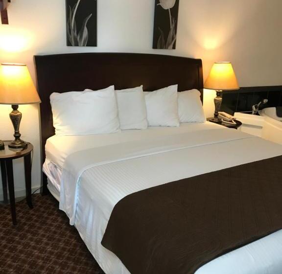 فندق على الطريق Gold Pan Lodge