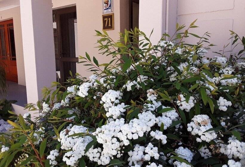 膳宿费 71 On Albert