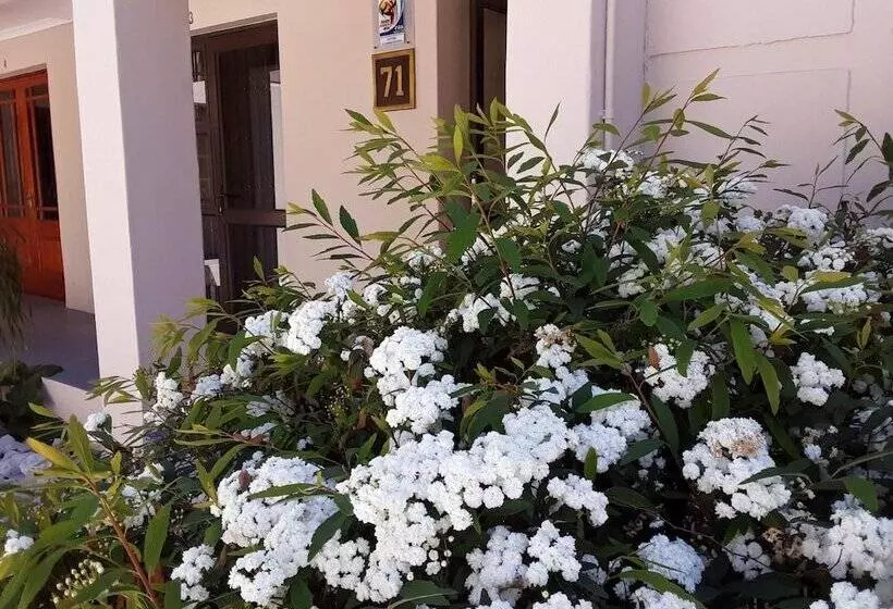 پانسیون 71 On Albert