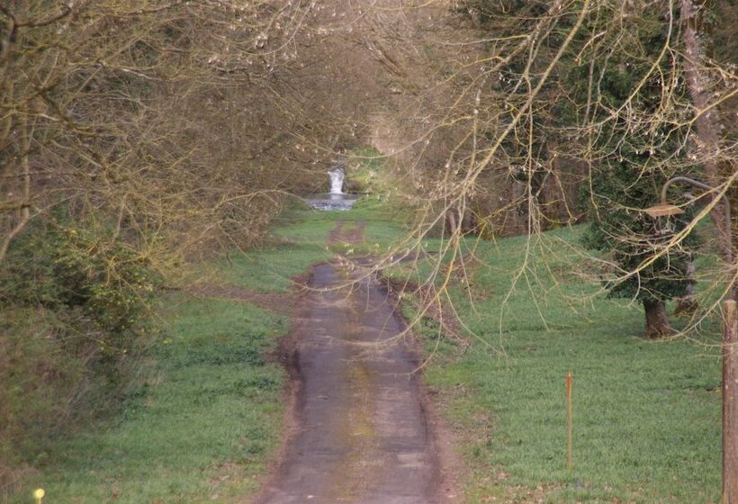 بنسيون Château De Saint Bohaire