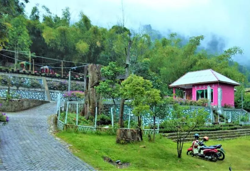 ペンション Penginapan Puncak Dp