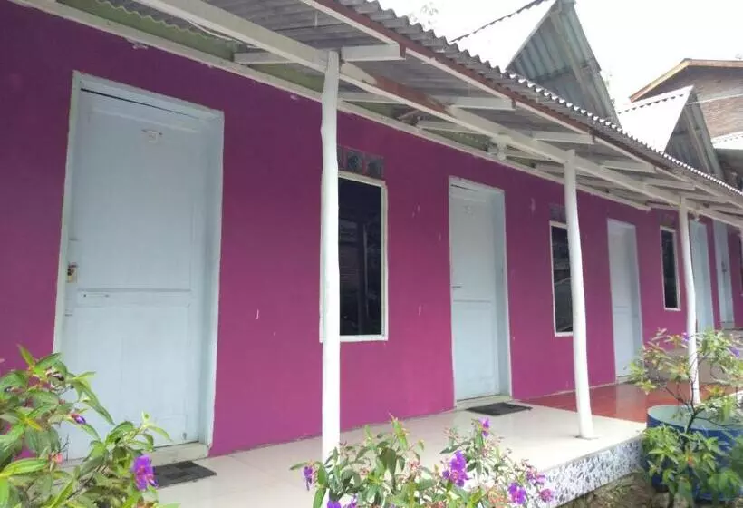 ペンション Penginapan Puncak Dp