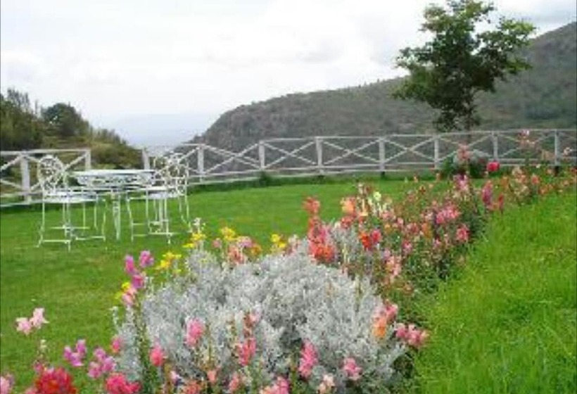 هتل Mystique Ville