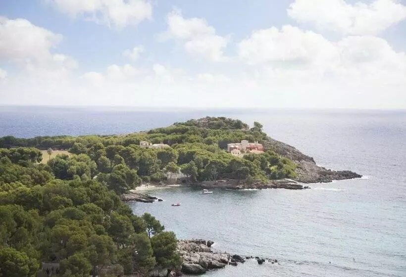 ホテル Aluasoul Carolina   Adults Only