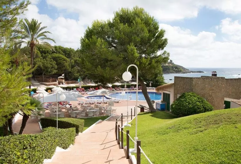 ホテル Aluasoul Carolina   Adults Only