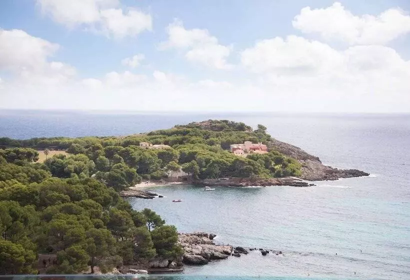 ホテル Aluasoul Carolina   Adults Only