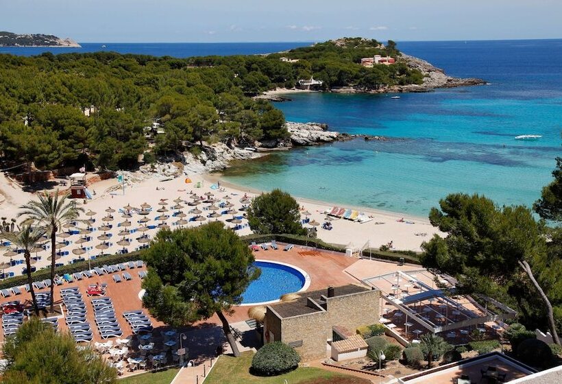 فندق Aluasoul Carolina   Adults Only