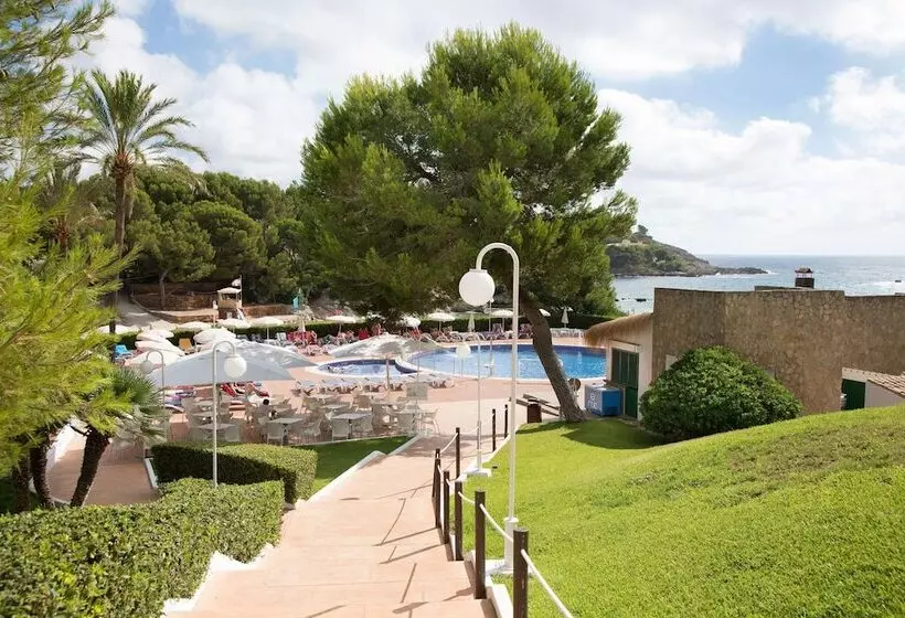 ホテル Aluasoul Carolina   Adults Only