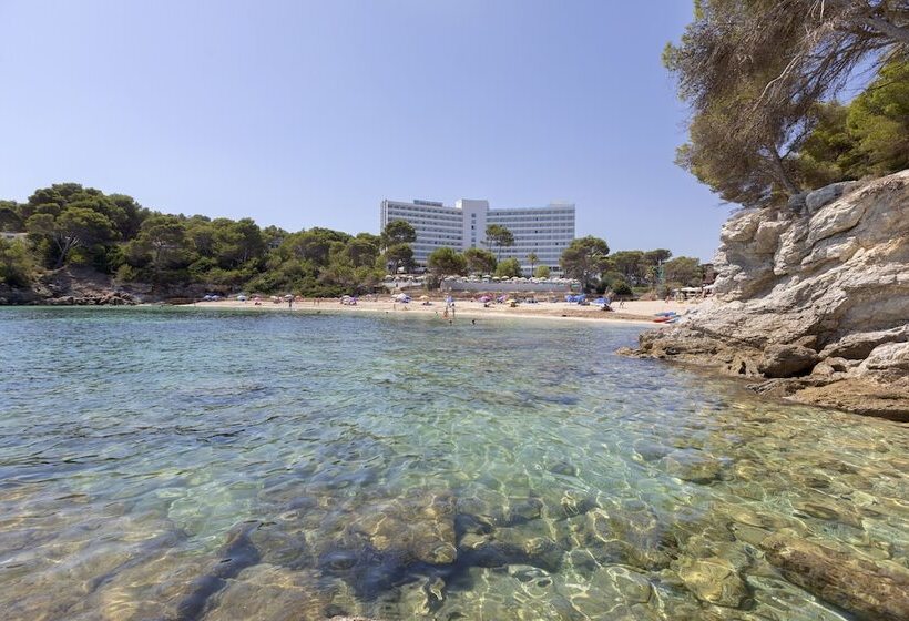 فندق Aluasoul Carolina   Adults Only