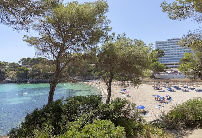 فندق Aluasoul Carolina   Adults Only