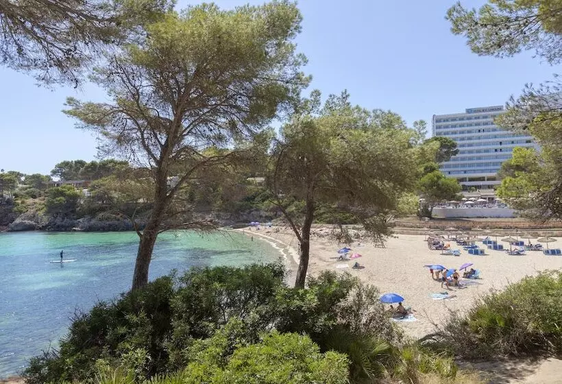 ホテル Aluasoul Carolina   Adults Only