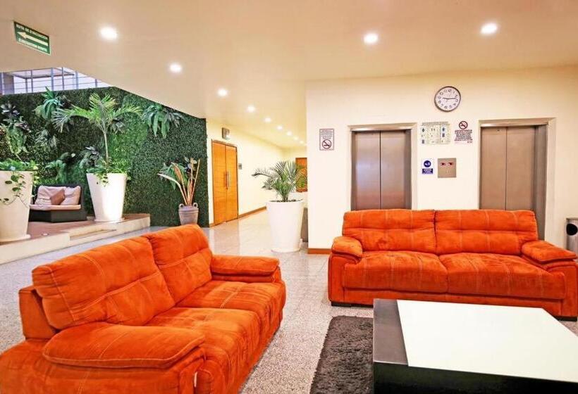 فندق Aranzazu Eco