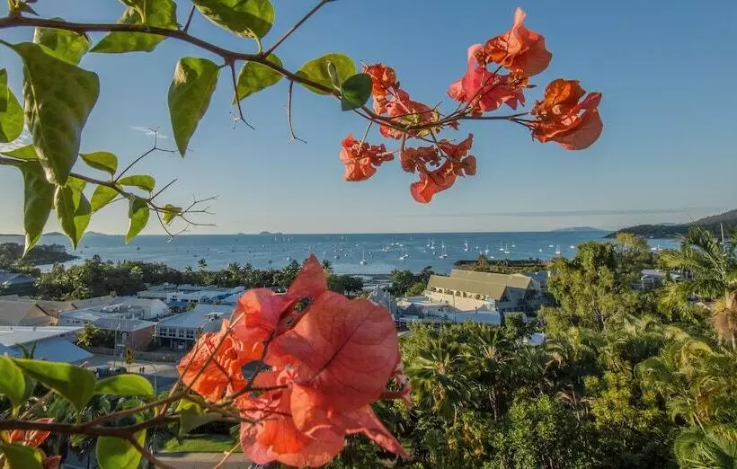 ホテル At Water's Edge Resort