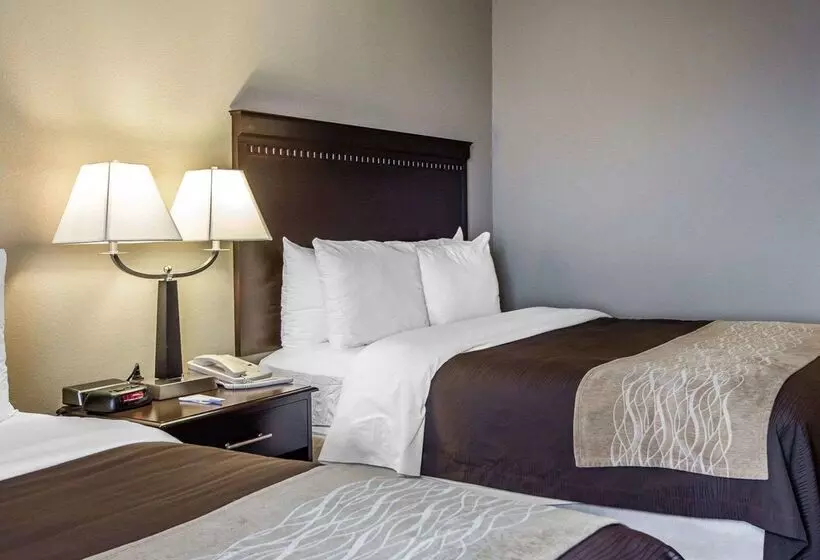 호텔 Comfort Inn & Suites Near Tinley Park Amphitheater