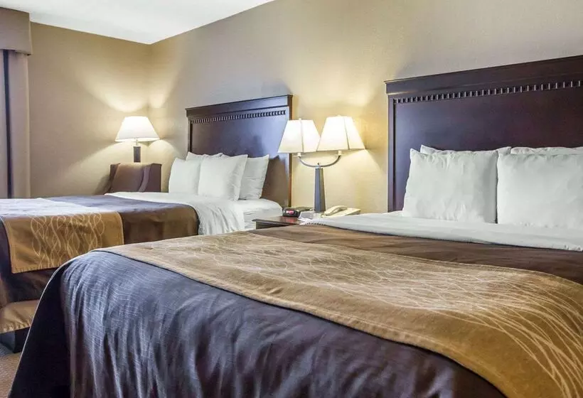 호텔 Comfort Inn & Suites Near Tinley Park Amphitheater